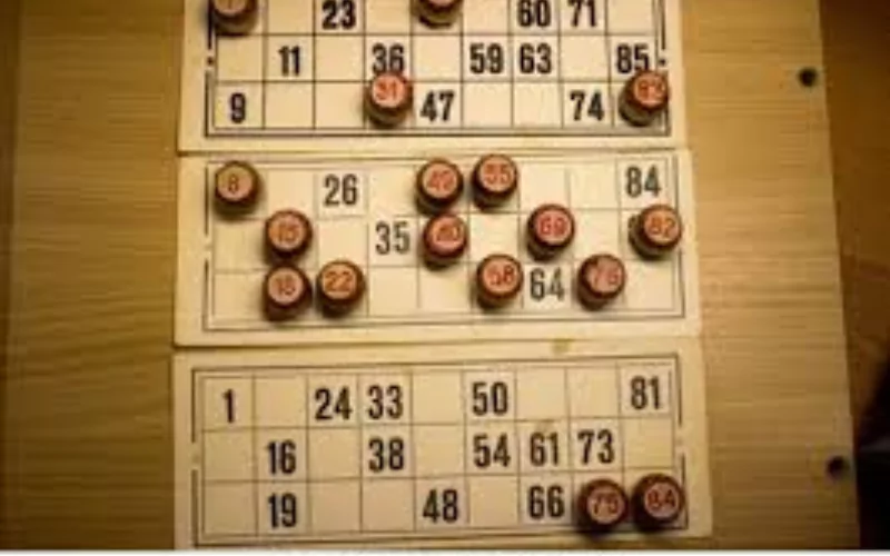 night lottery sambad at Kerala Lottery